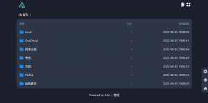 试了下alist列表，挺方便-THsInk