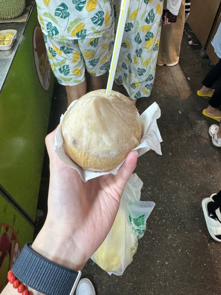 图片[5]-去海南玩了会-THsInk