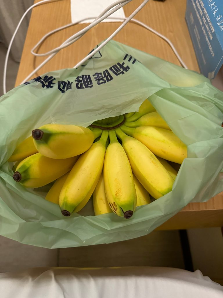 图片[6]-去海南玩了会-THsInk