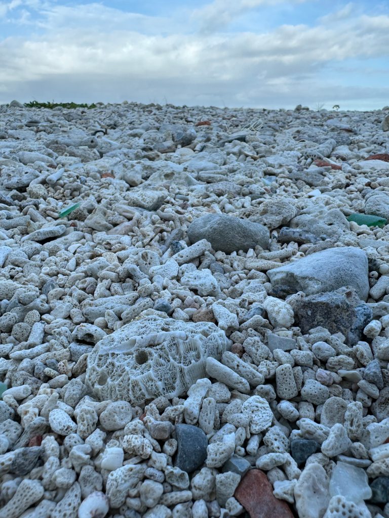 图片[10]-去海南玩了会-THsInk