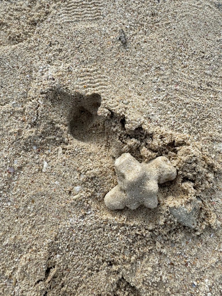 图片[17]-去海南玩了会-THsInk