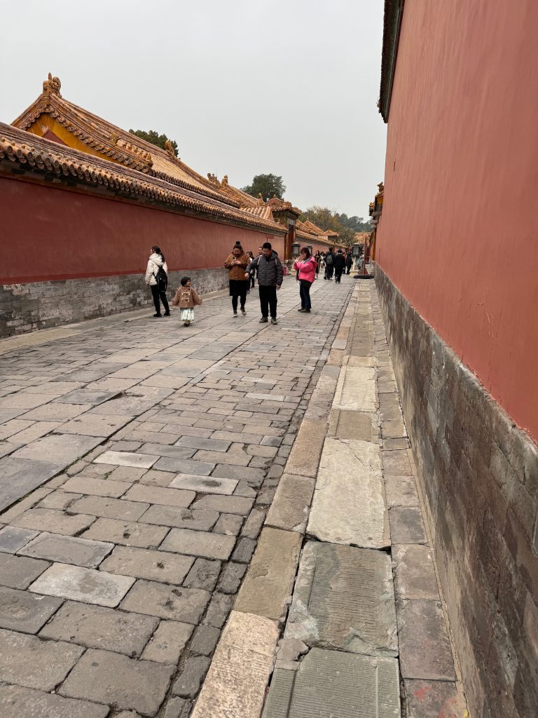 图片[29]-去海南玩了会-THsInk