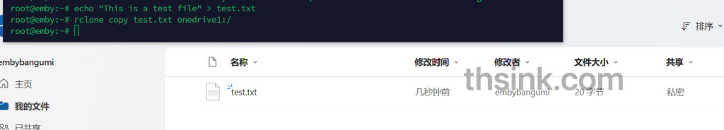图片[19]-qbittorrent+rclone+onedrive+emby自建低成本小范围分享影视库-THsInk