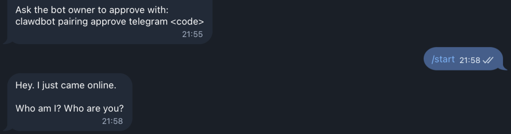 图片[2]-记录一次安装和配置ClawdBot(现已更名为moltbot)-THsInk