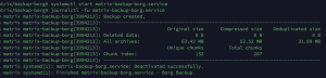 Matrix 使用 BorgBackup 自动备份-THsInk